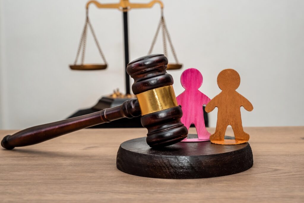 annulment lawyer davao city reviewing family court petition